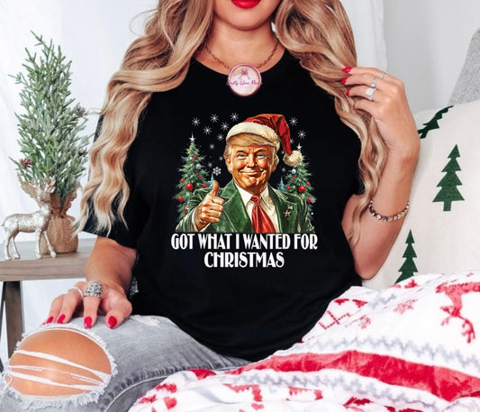 Got What I Wanted For Christmas