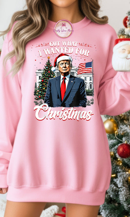 Got What I Wanted for Christmas Option 2